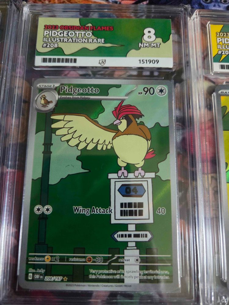 Pidgeotto Ace 8